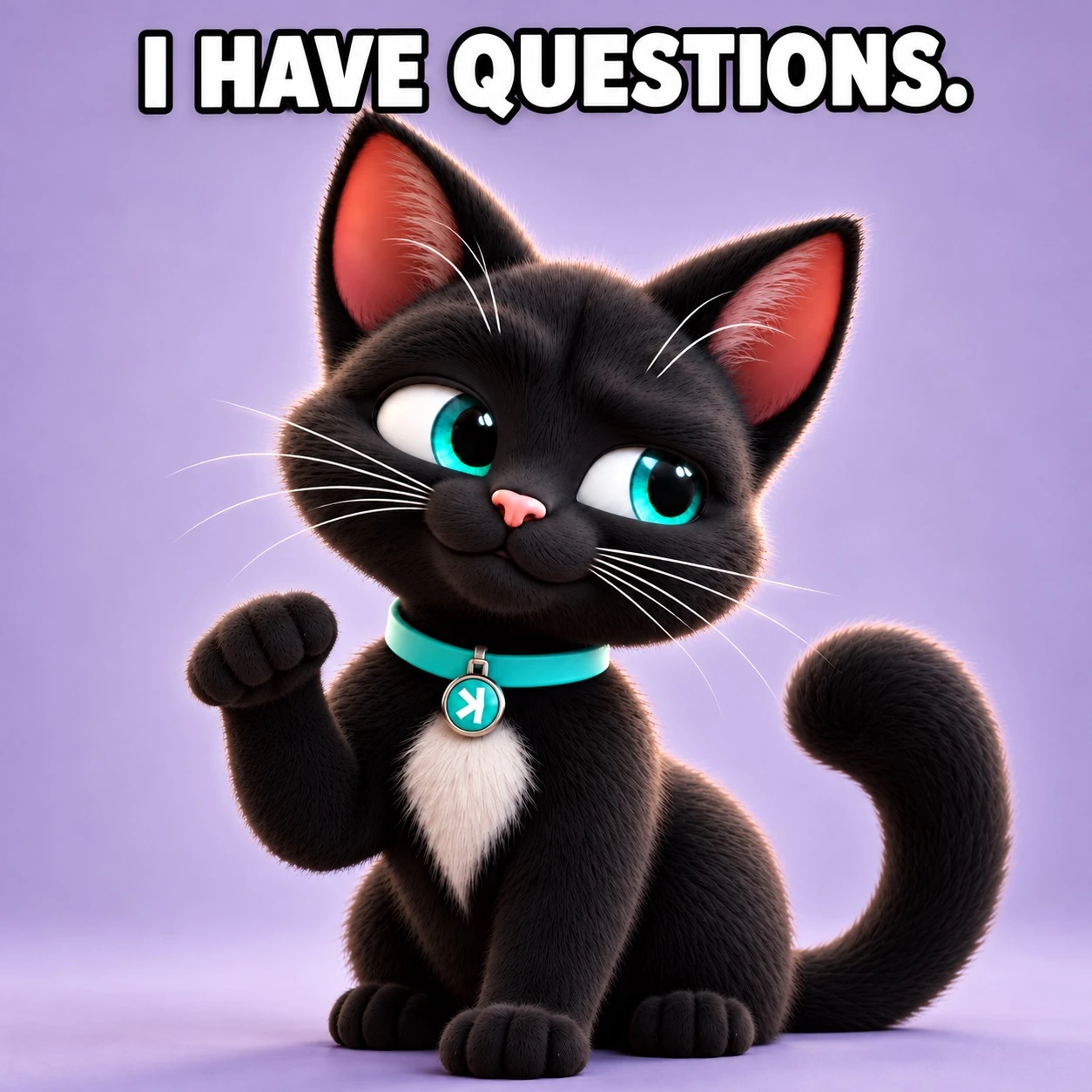 Nacho the Kat con una mirada de reojo juguetona bajo el texto I HAVE QUESTIONS